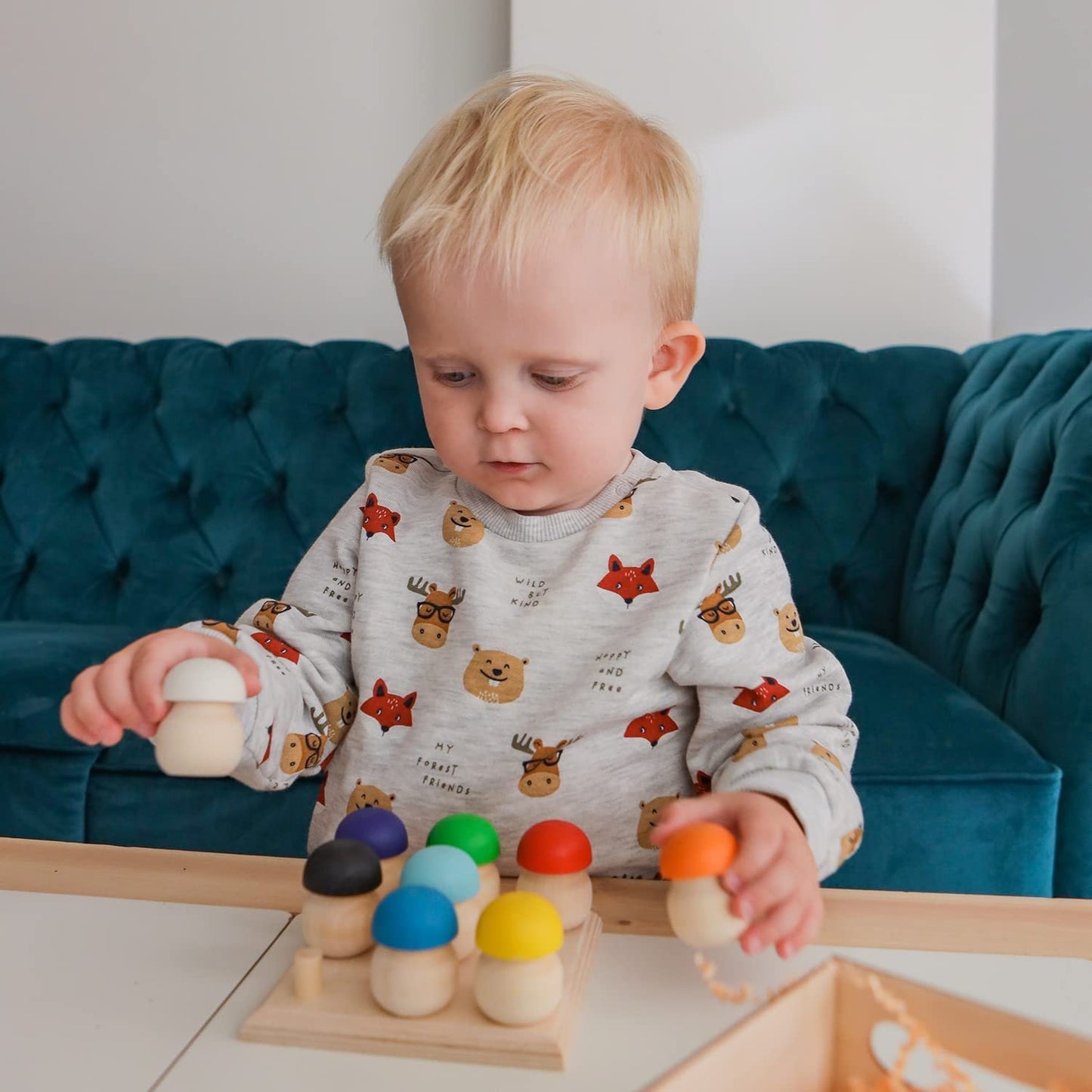 Ulanik Mushroom Glade Toddler Montessori Toys for 3 Year Old + Kids Wooden Mushrooms Game for Learning Color Sorting and Counting