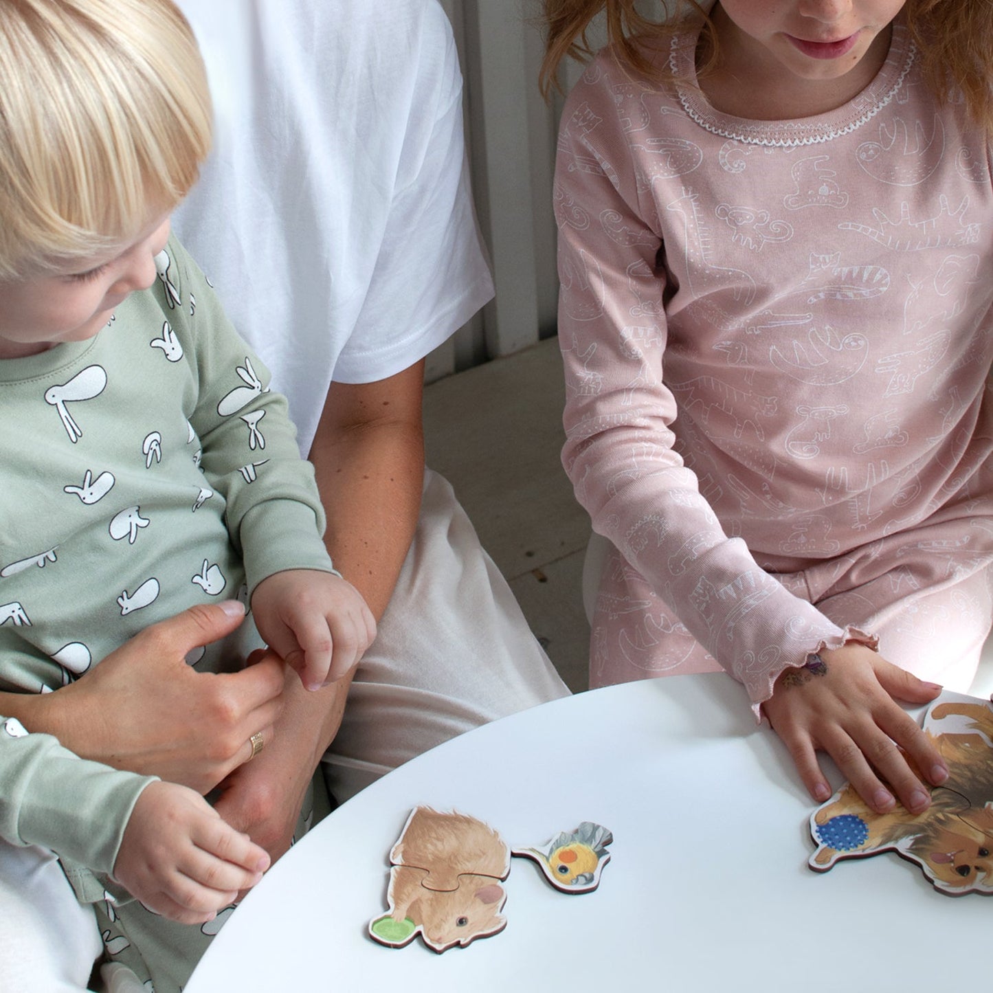 Wooden puzzle "Animals and Birds"