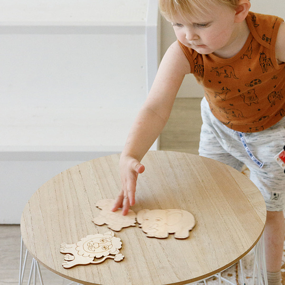 Wooden Colouring Models Animals - 12 pcs
