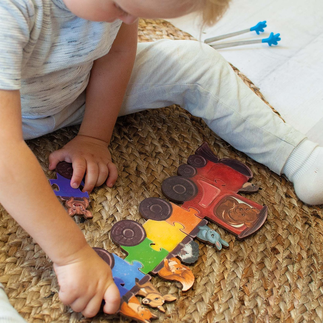 Wooden Puzzle - Rainbow Wagons