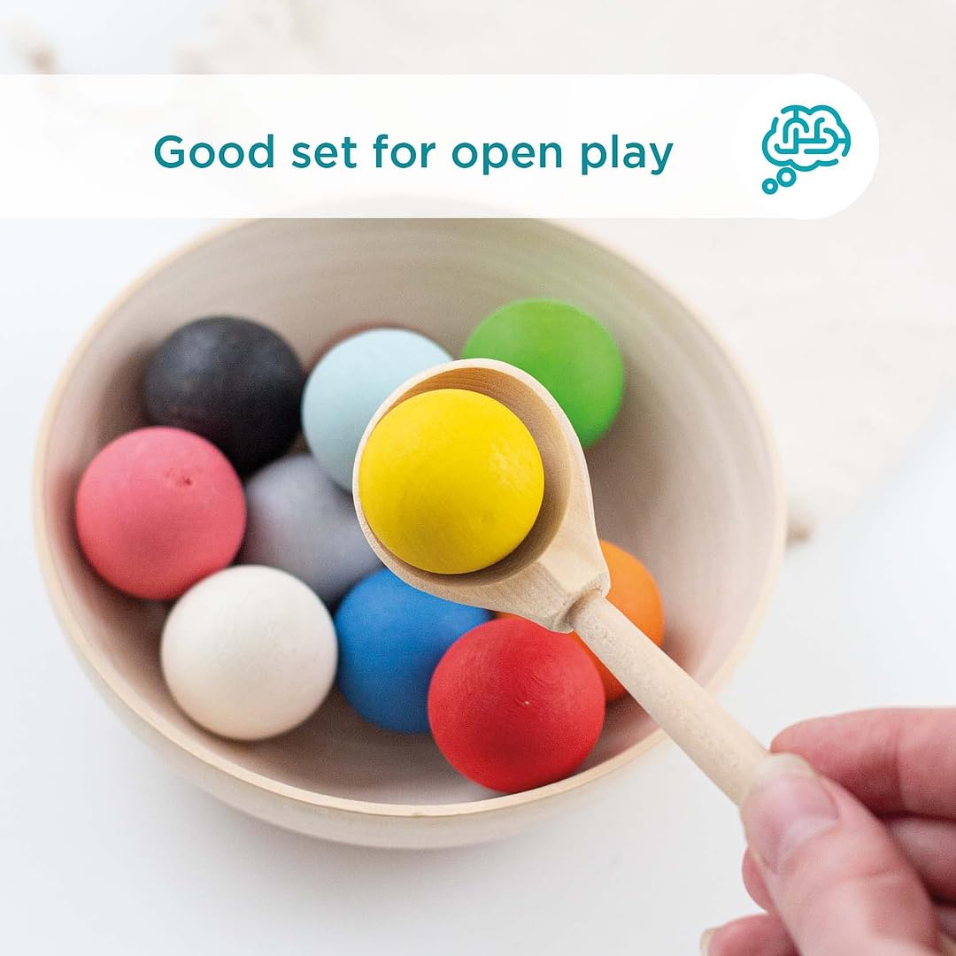 Wooden Set for Sorting Bowl and Spoon 1+